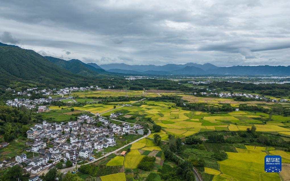 奥门葡萄